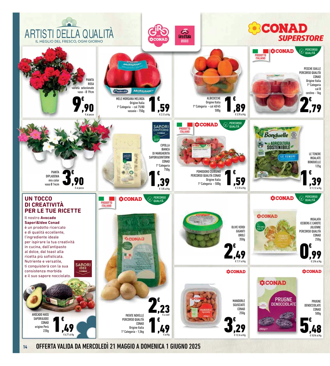 Pagina 14