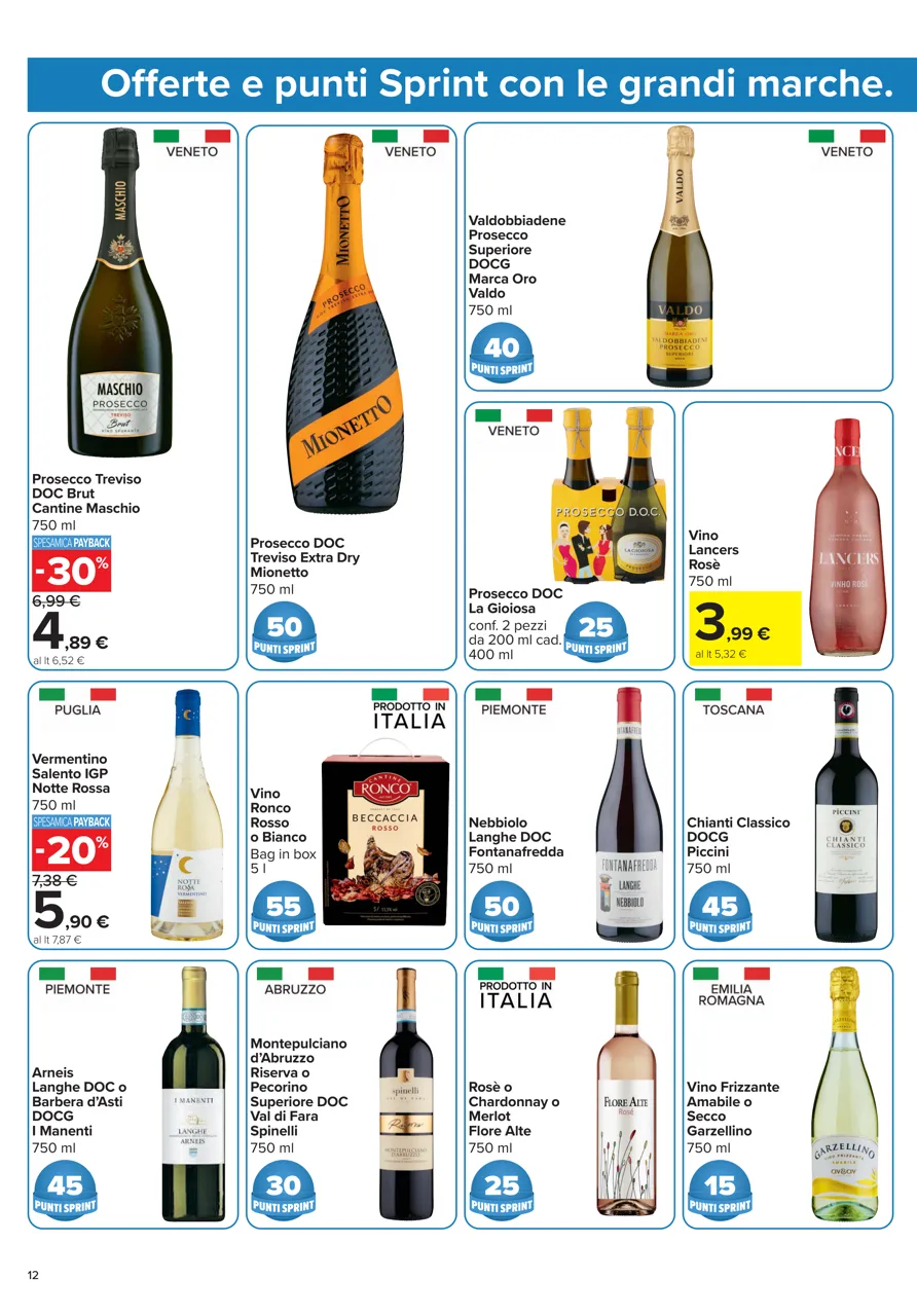 Pagina 12