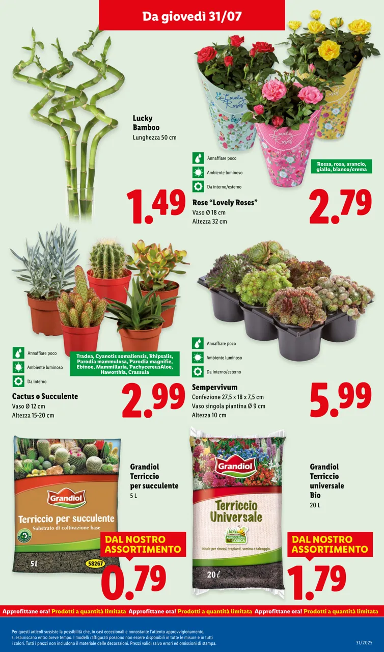 Pagina 33