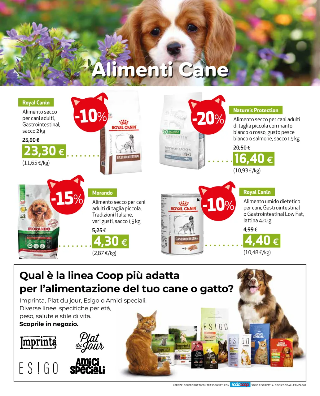 Pagina 2