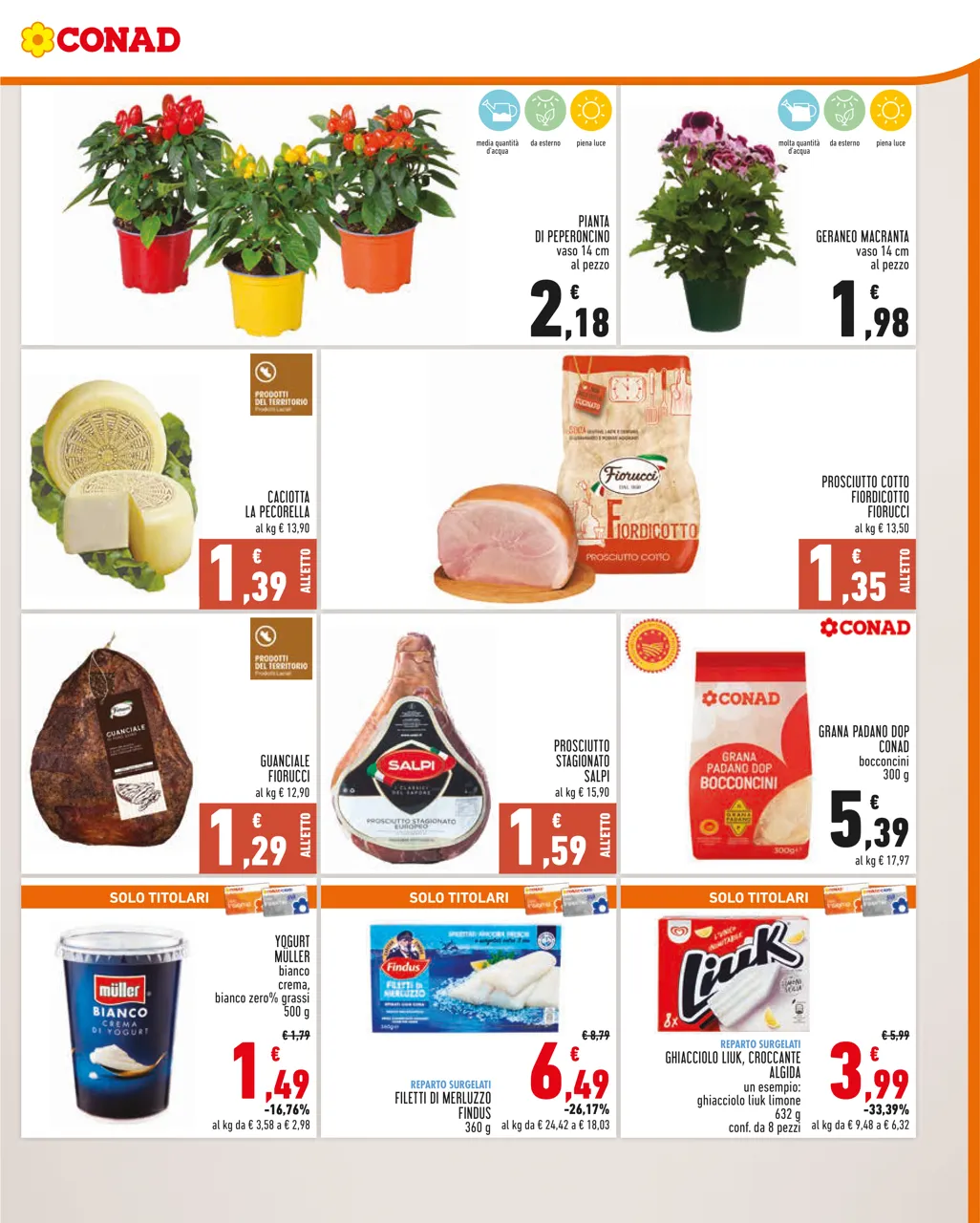 Pagina 3
