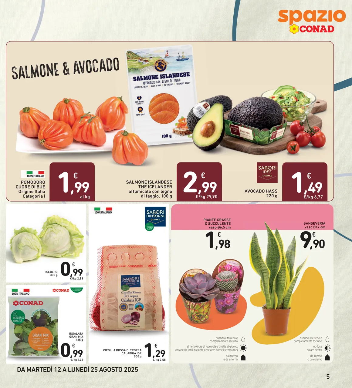 Pagina 5