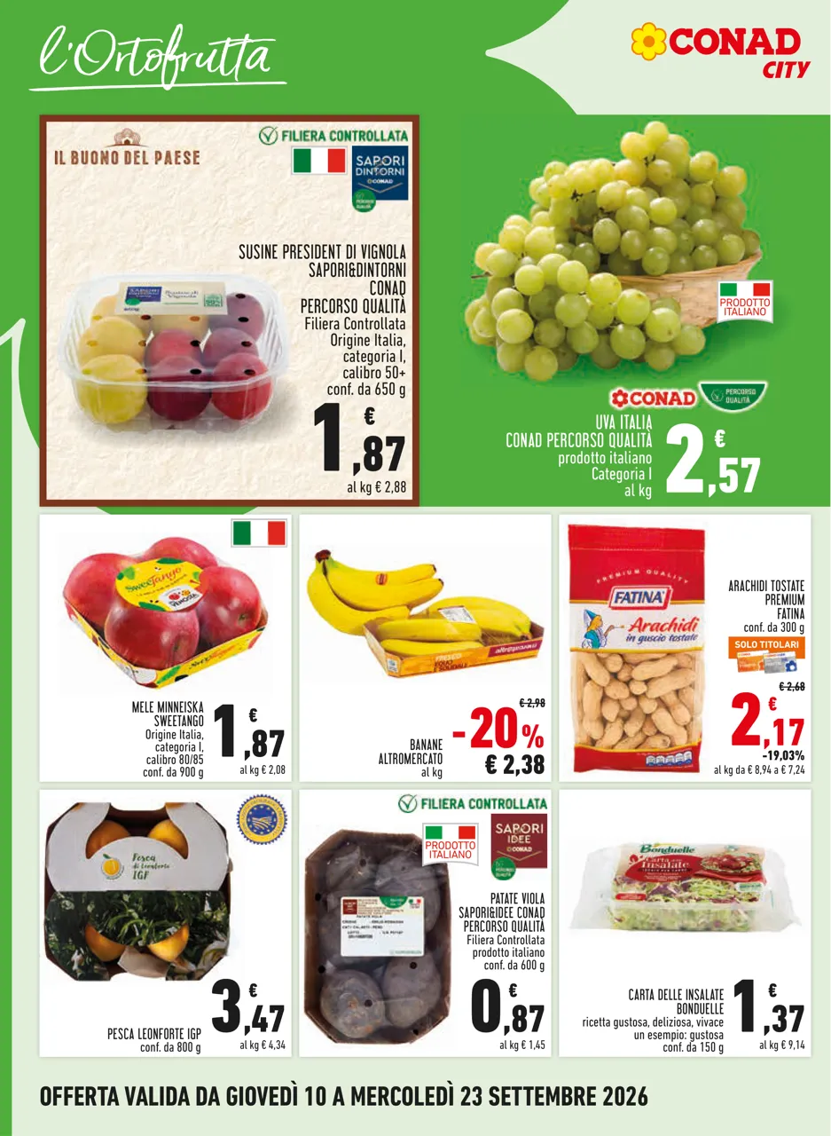 Pagina 8