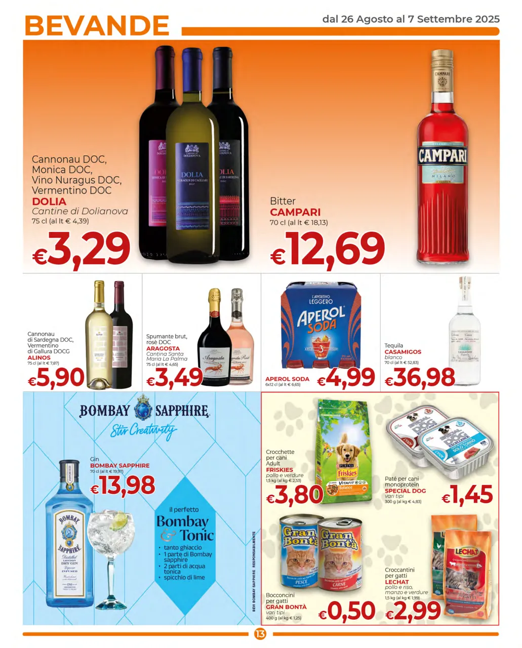 Pagina 13