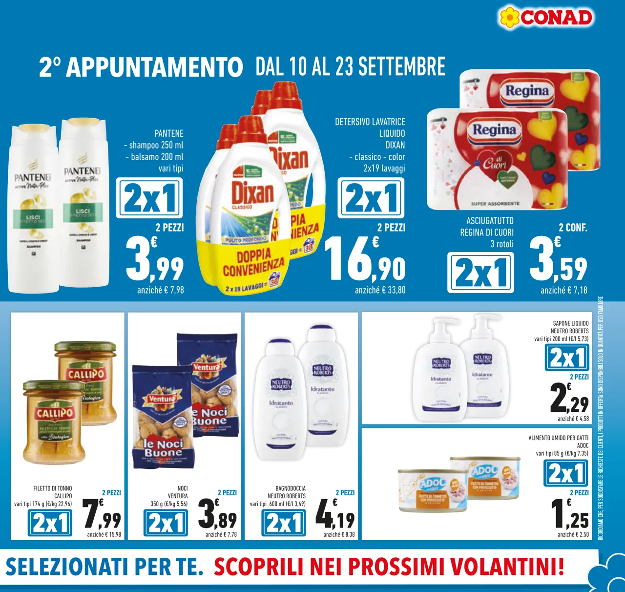 Pagina 5