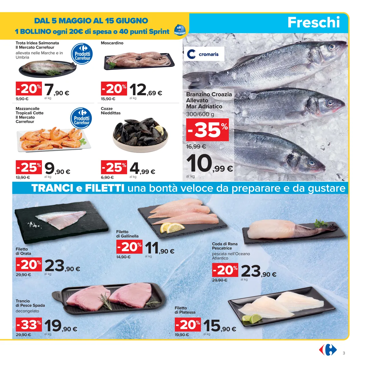 Pagina 3