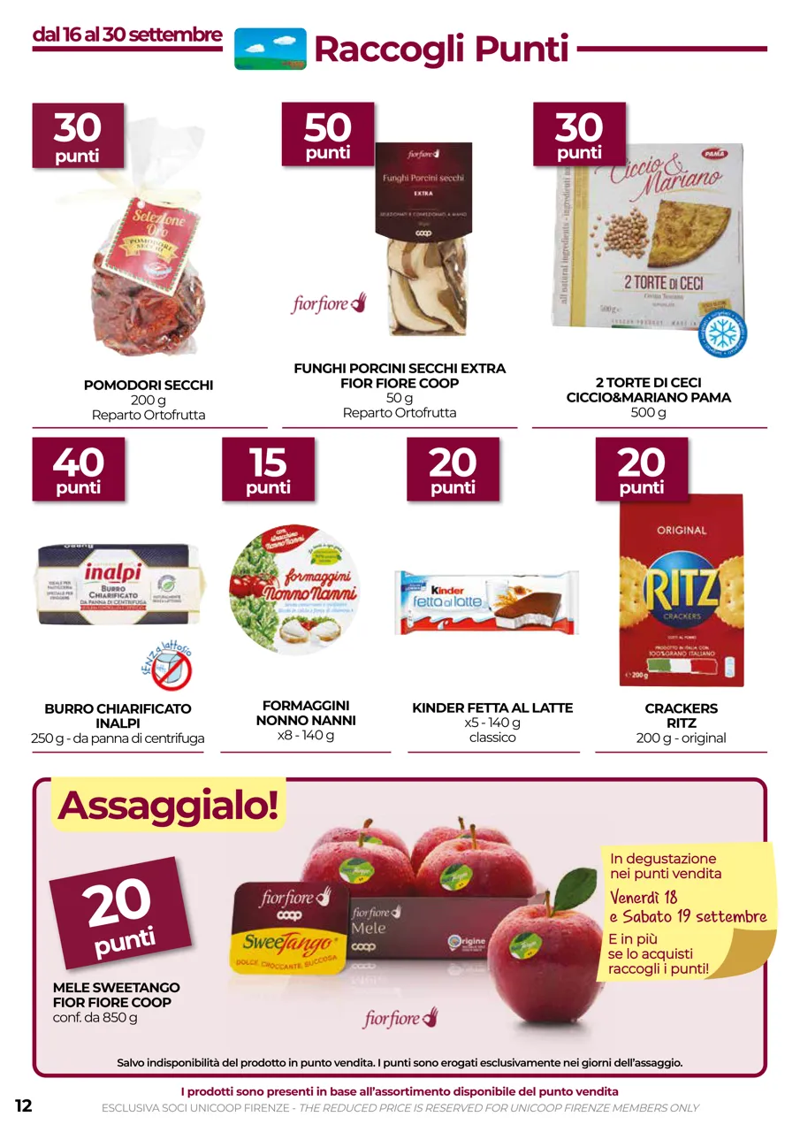 Pagina 12