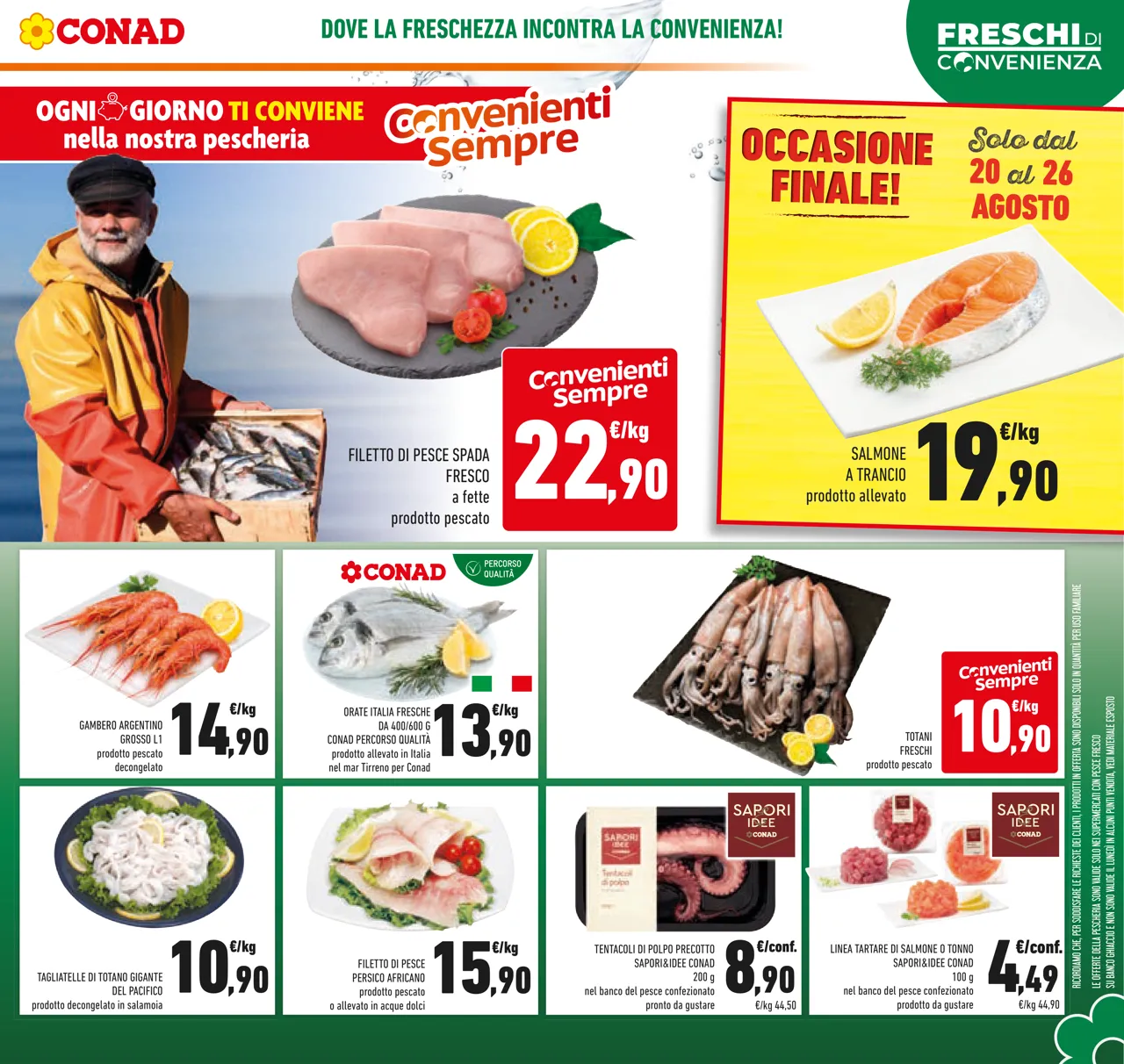 Pagina 5
