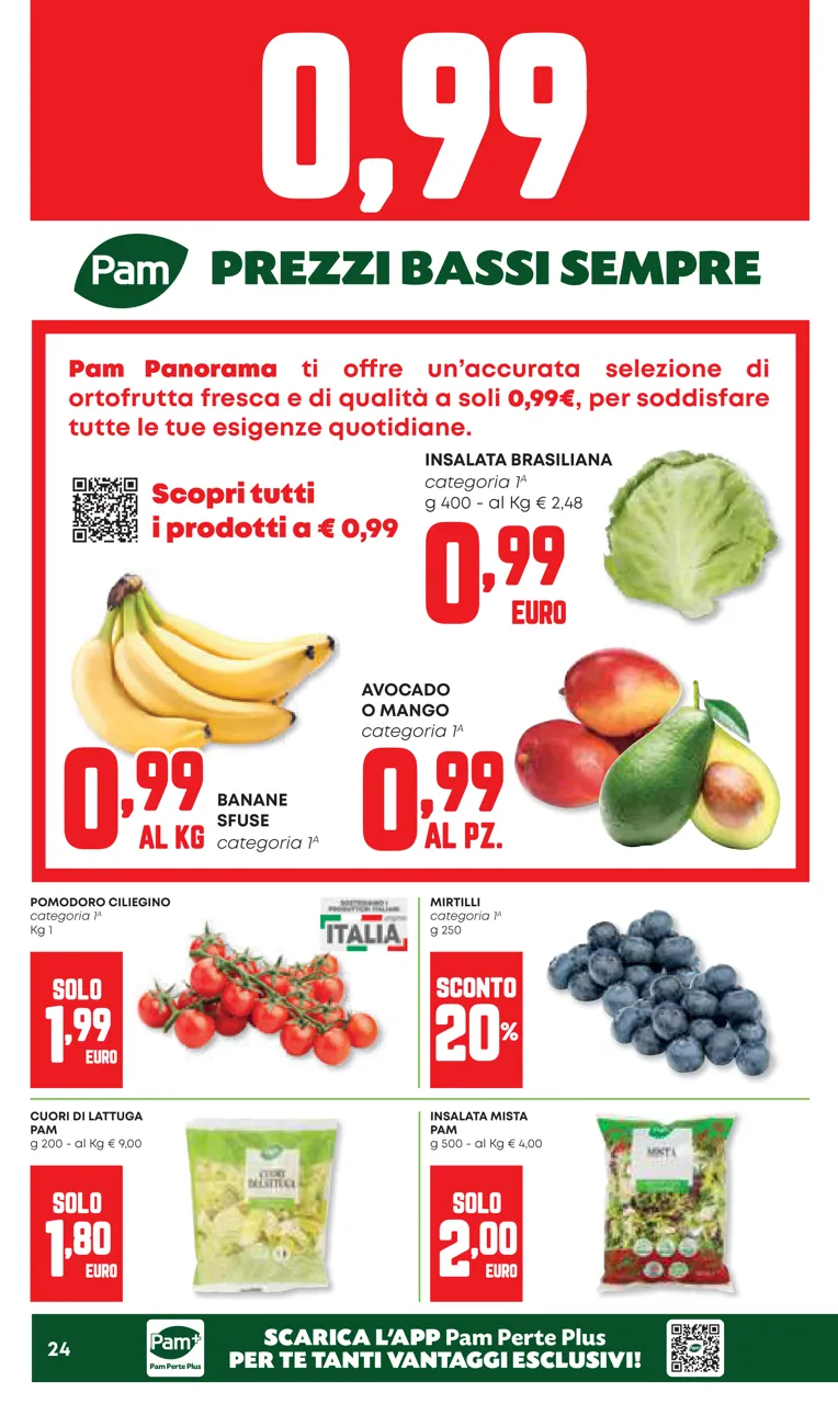 Pagina 24