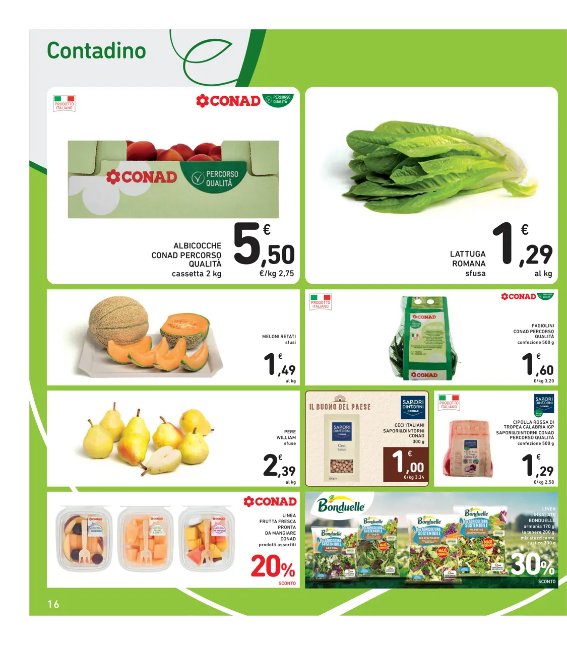 Pagina 16