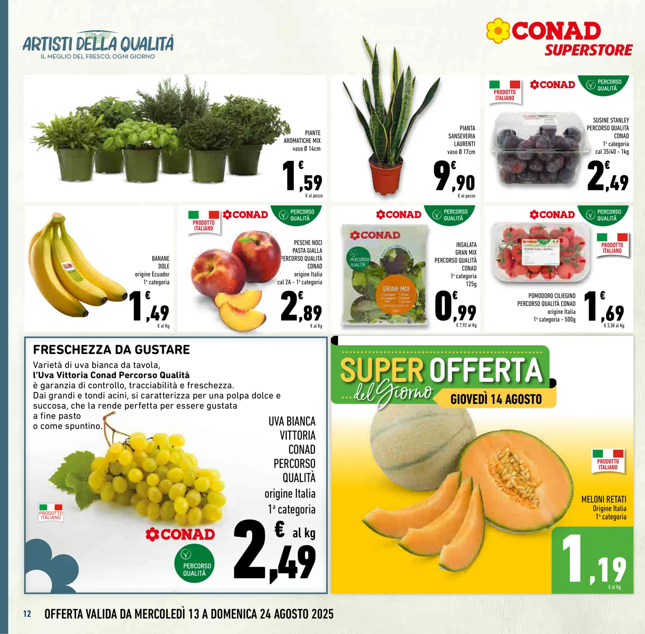 Pagina 12