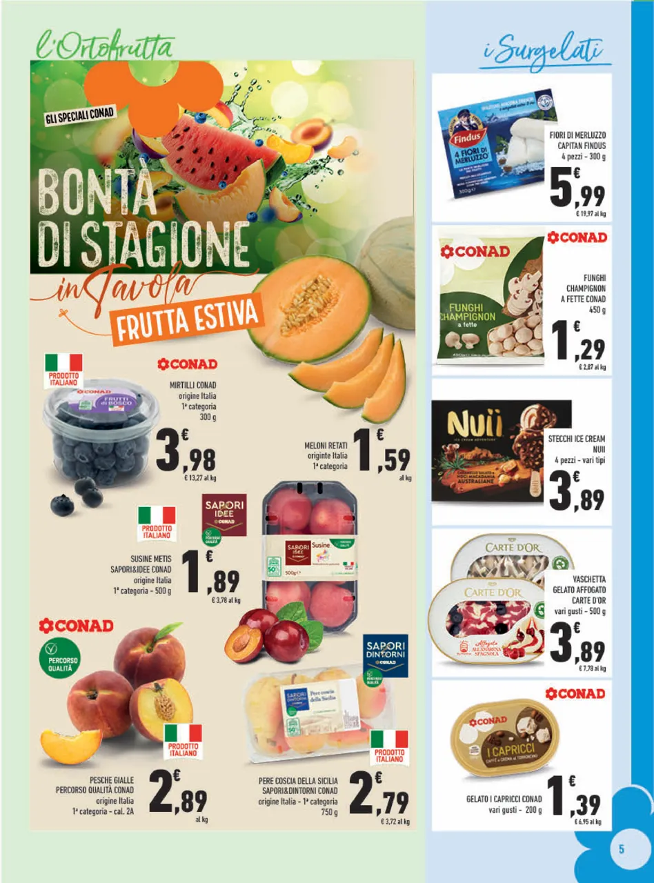 Pagina 5