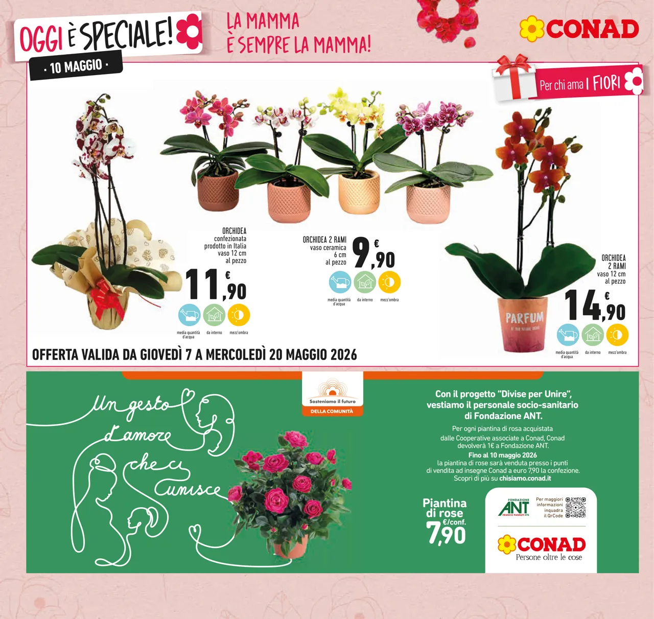Pagina 10