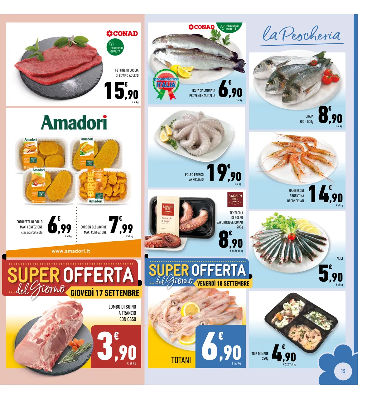 Pagina 15