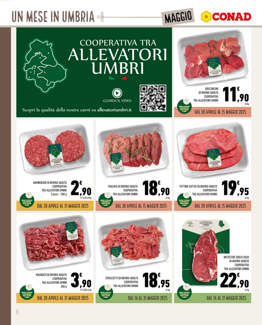 Pagina 6