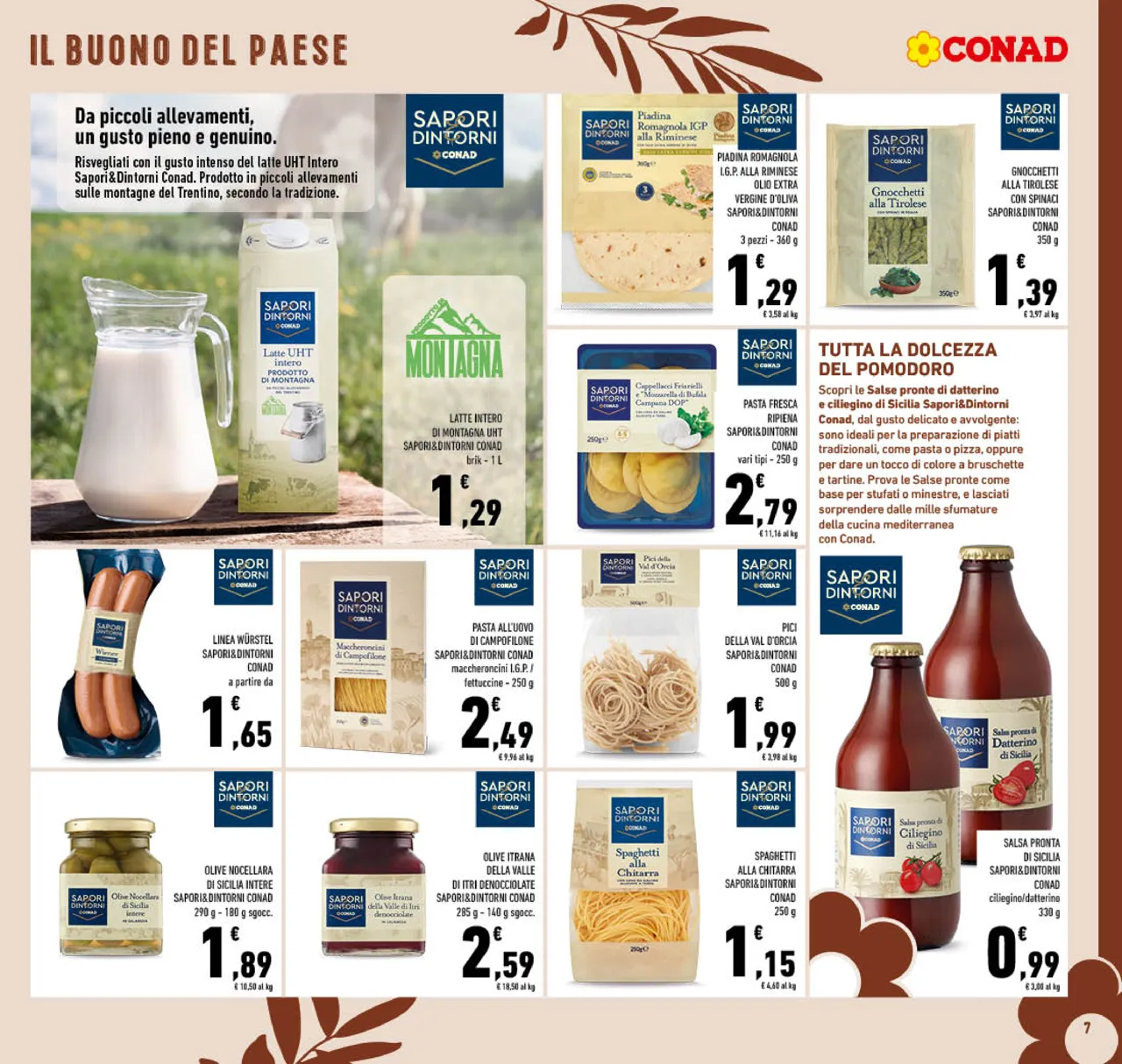 Pagina 7