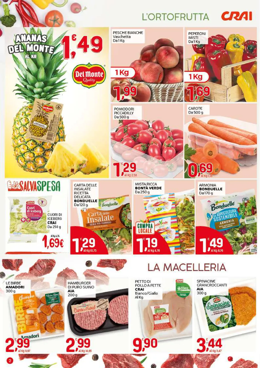 Pagina 2