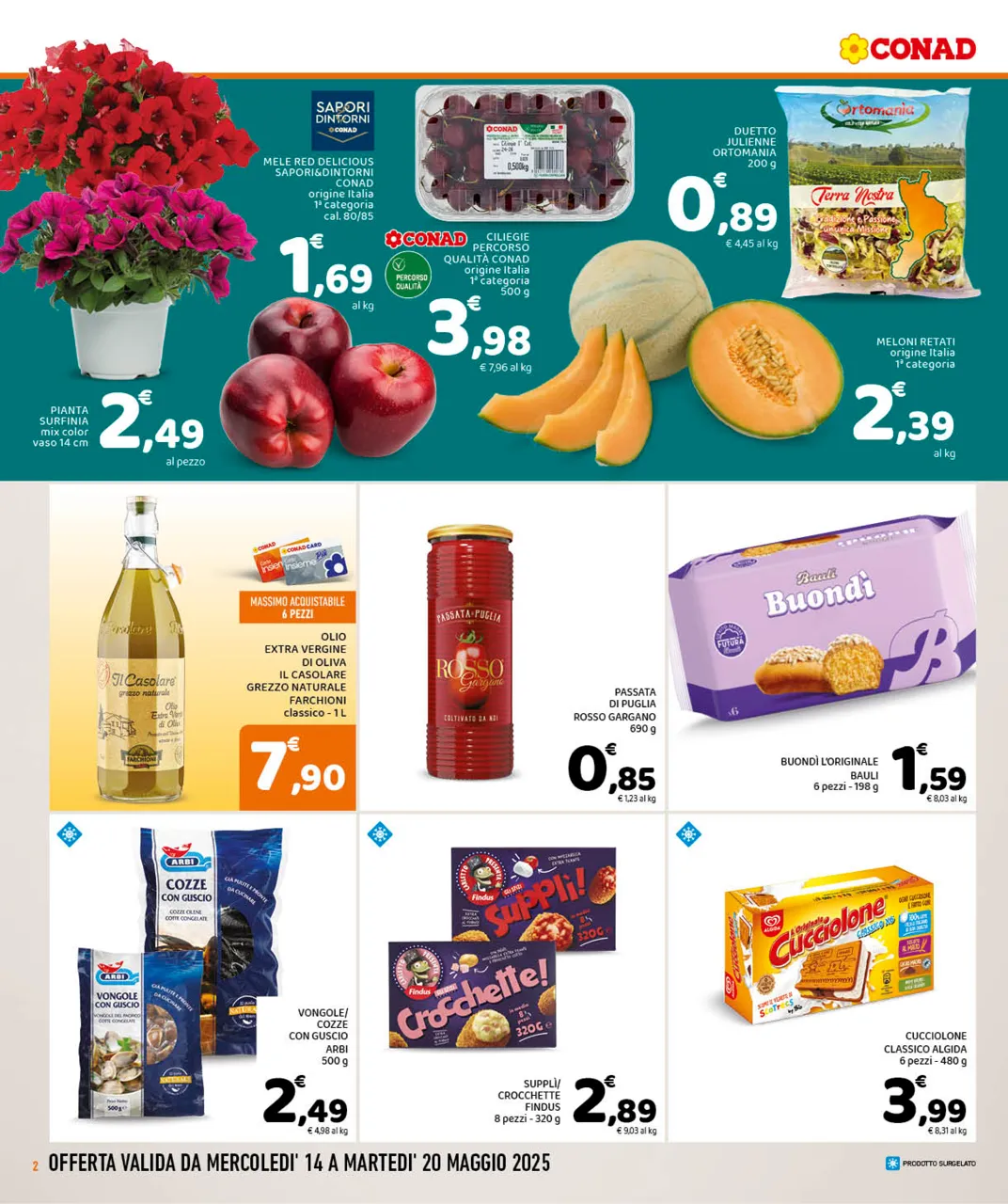 Pagina 2