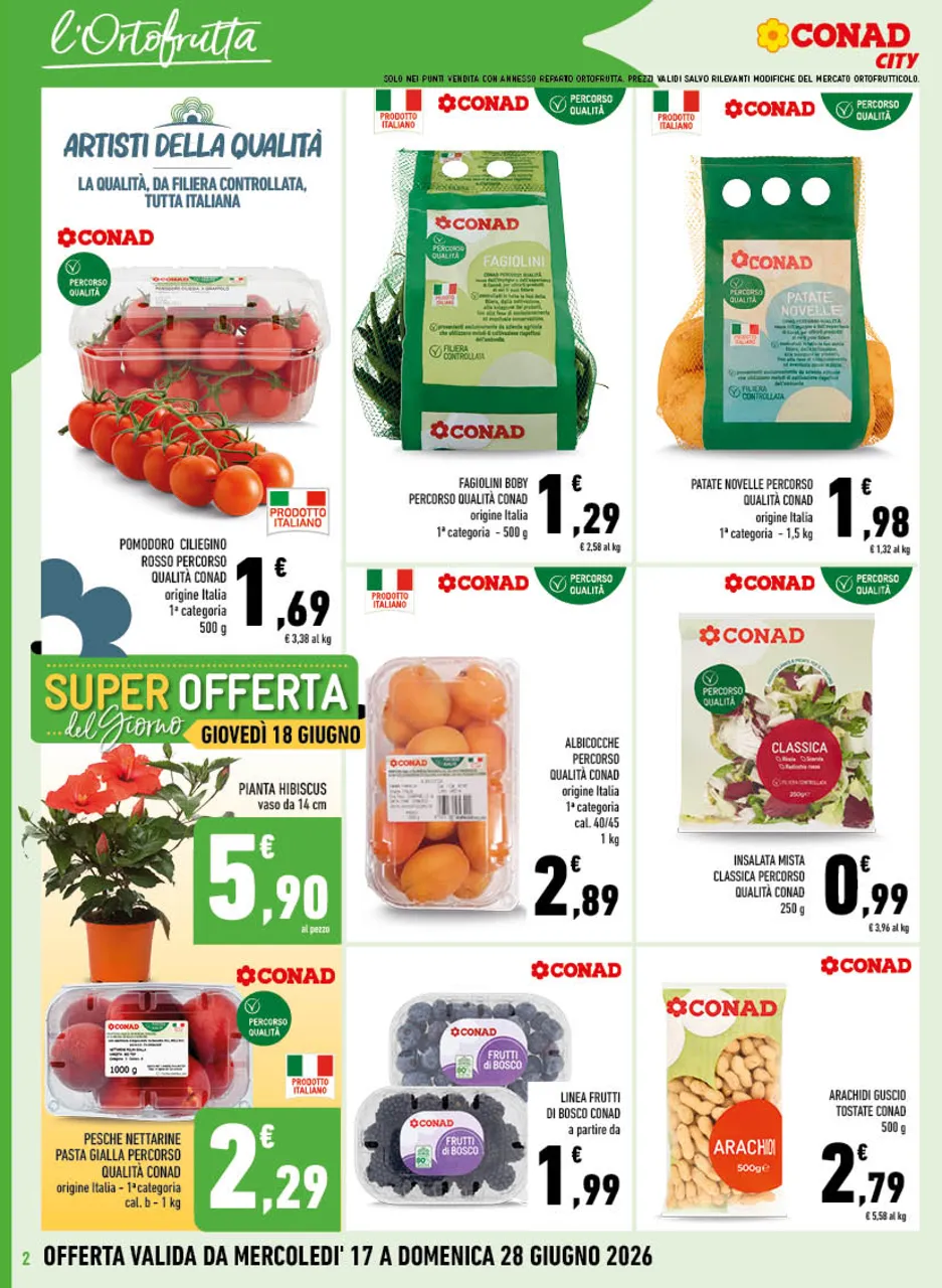 Pagina 2