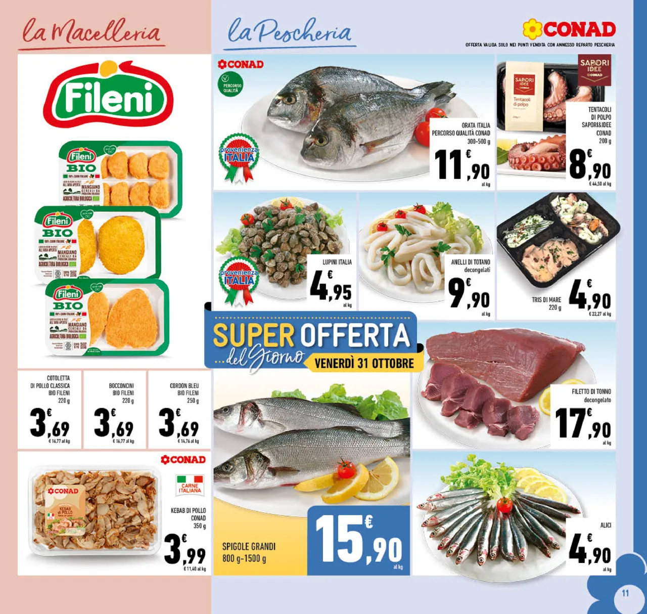 Pagina 11