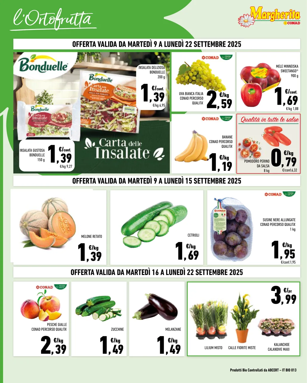 Pagina 2