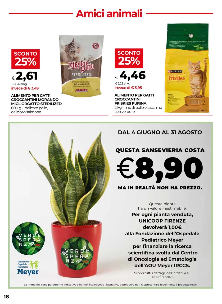 Pagina 18