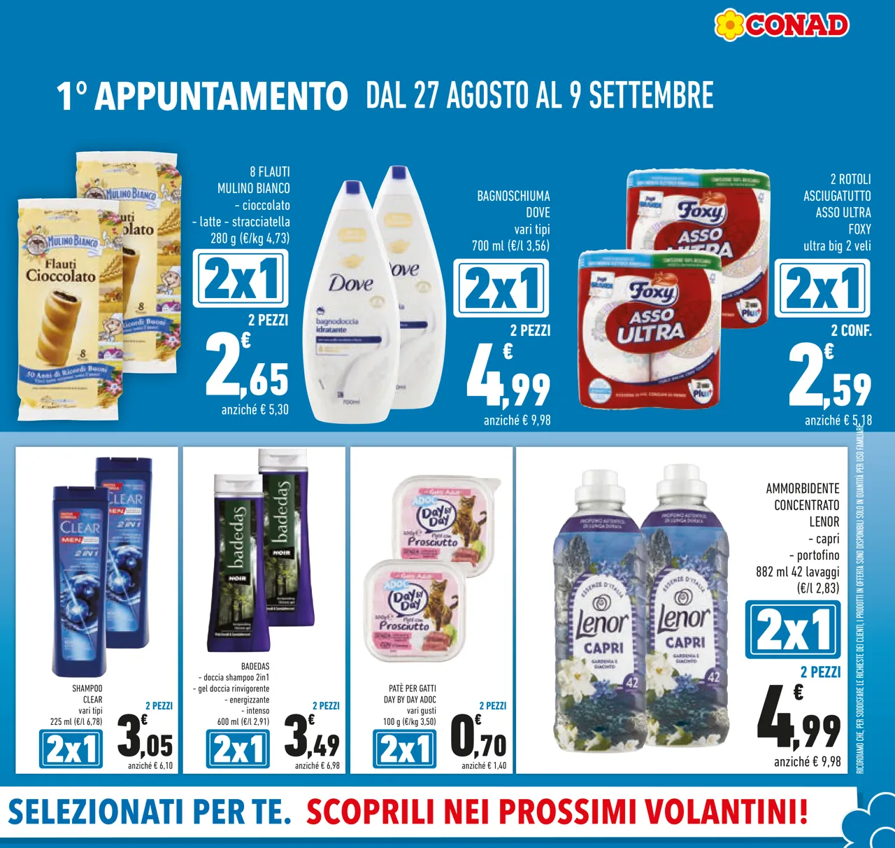 Pagina 5