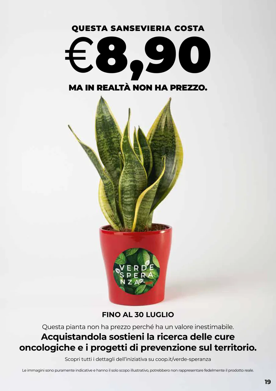 Pagina 19
