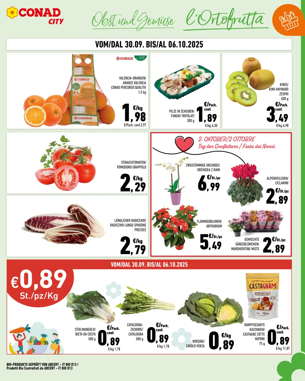 Pagina 3