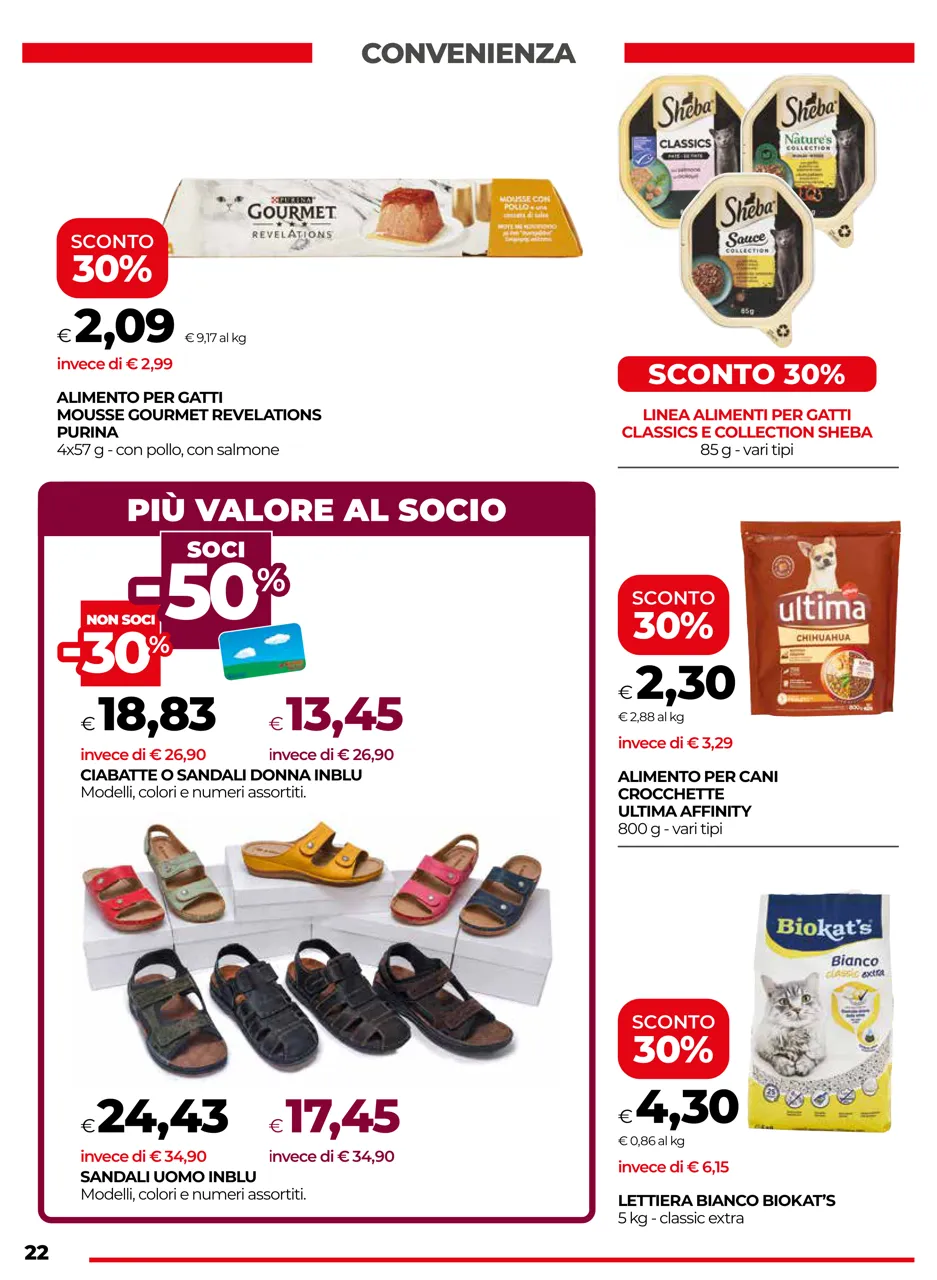 Pagina 22