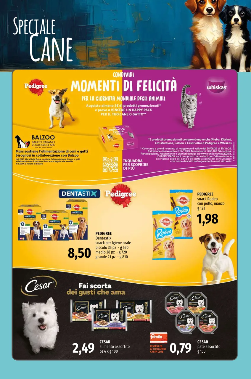 Pagina 16