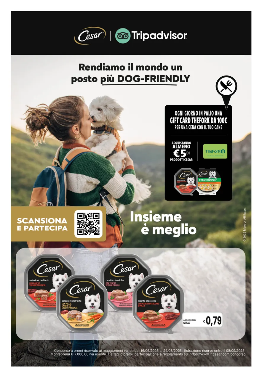 Pagina 10