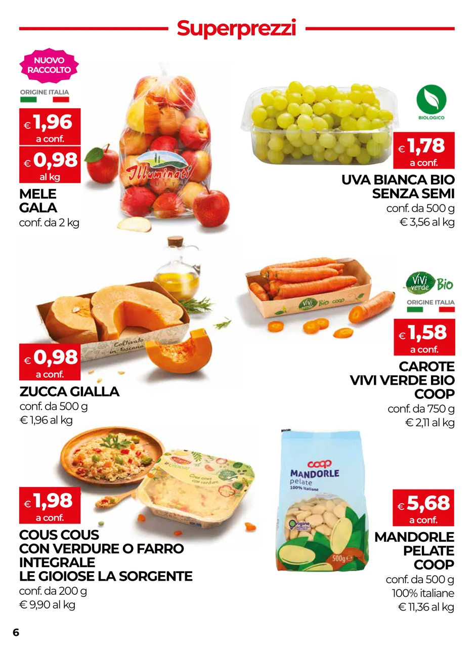 Pagina 6