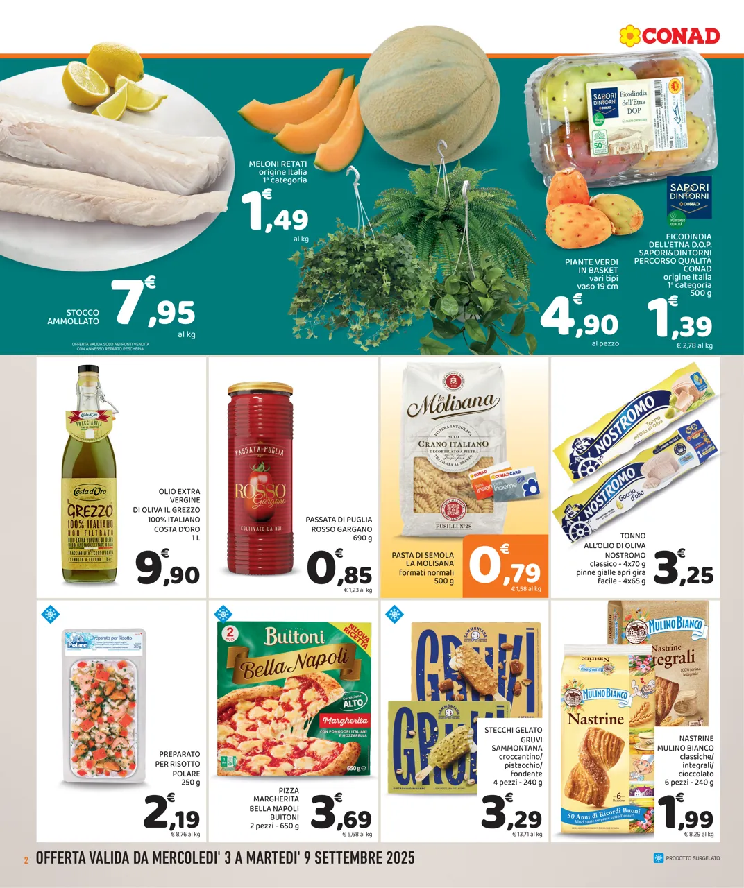 Pagina 2