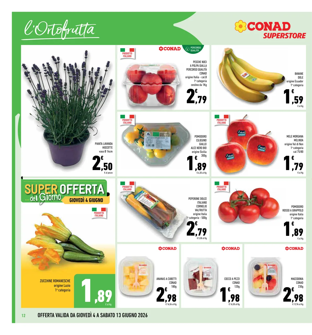 Pagina 12