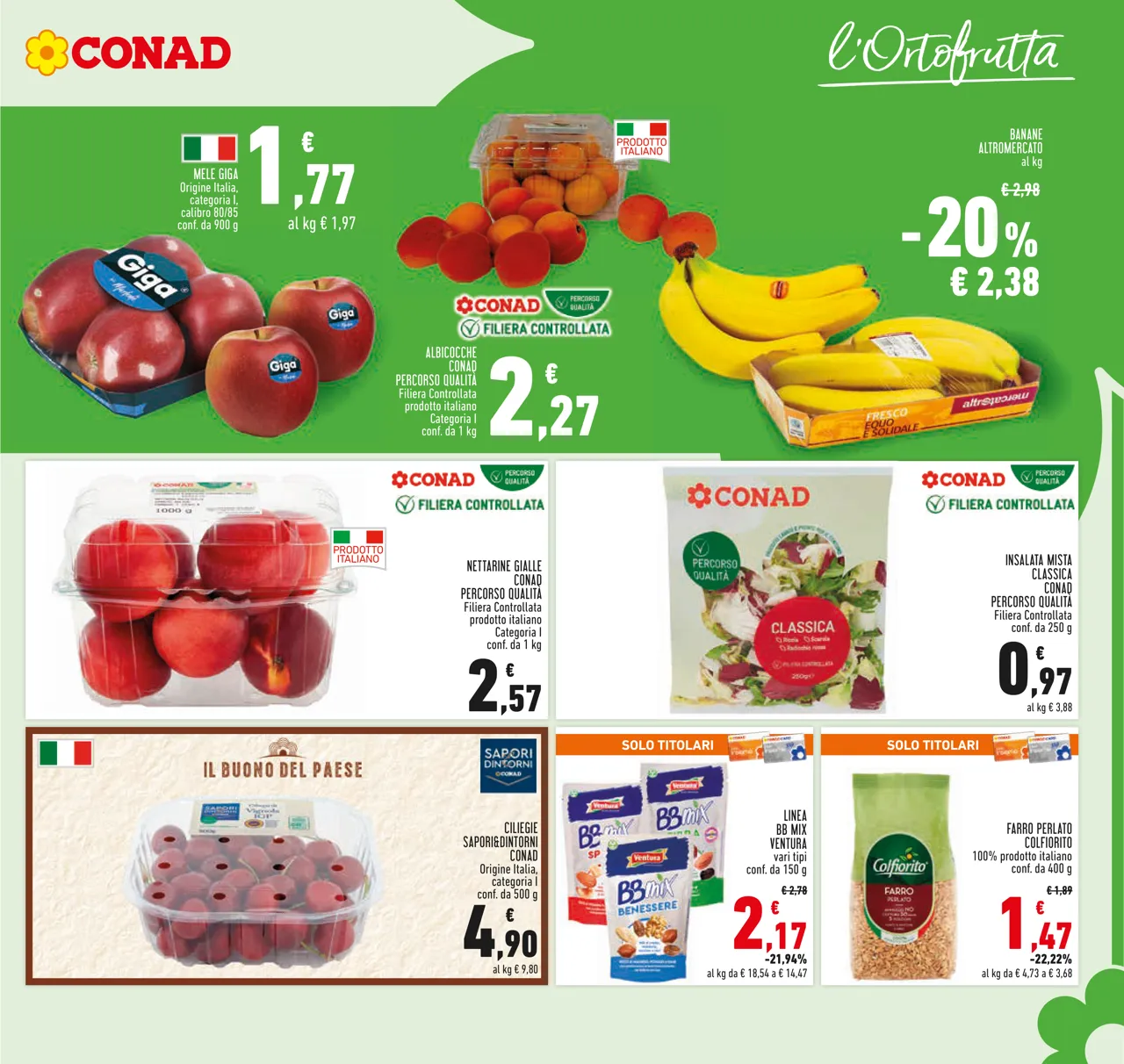Pagina 11