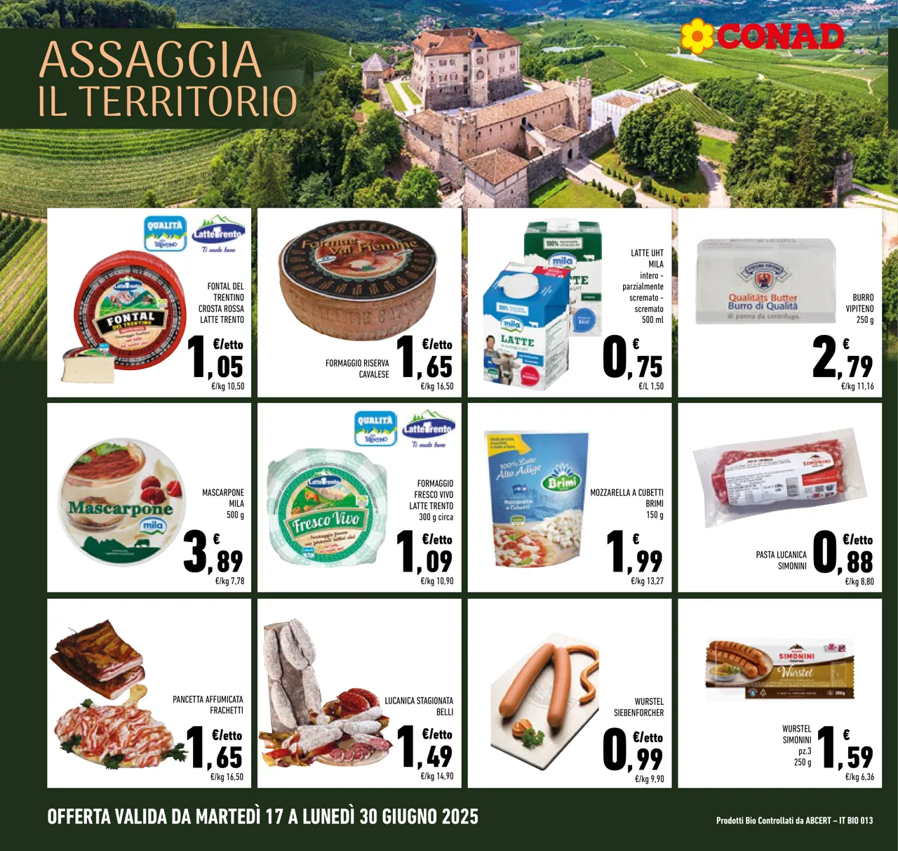 Pagina 8