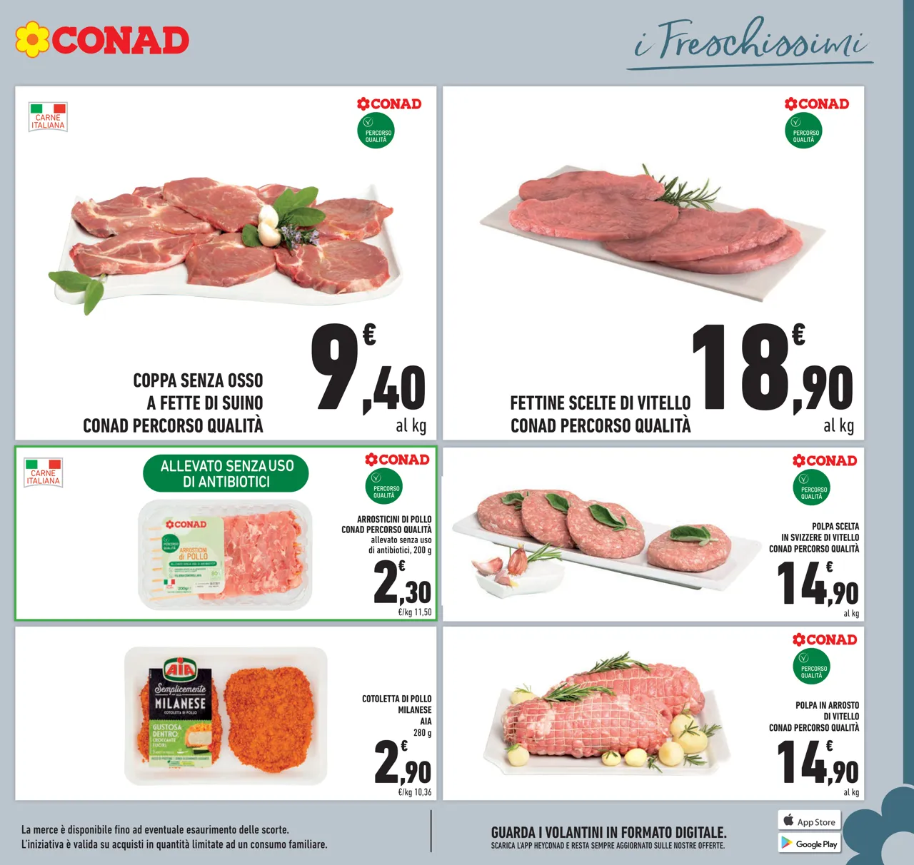 Pagina 5