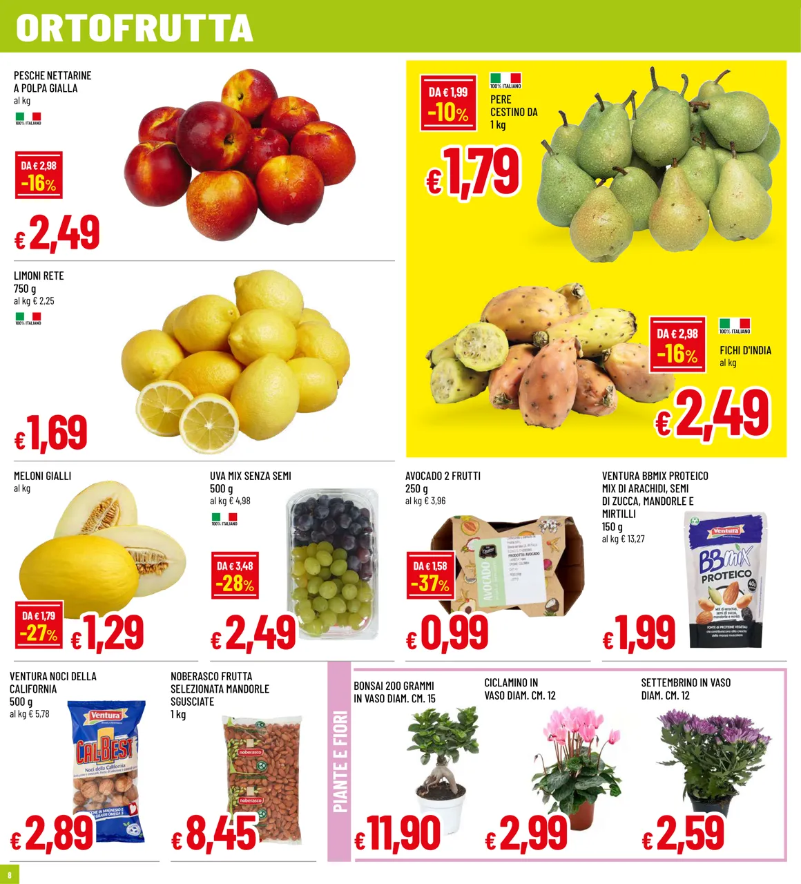 Pagina 8
