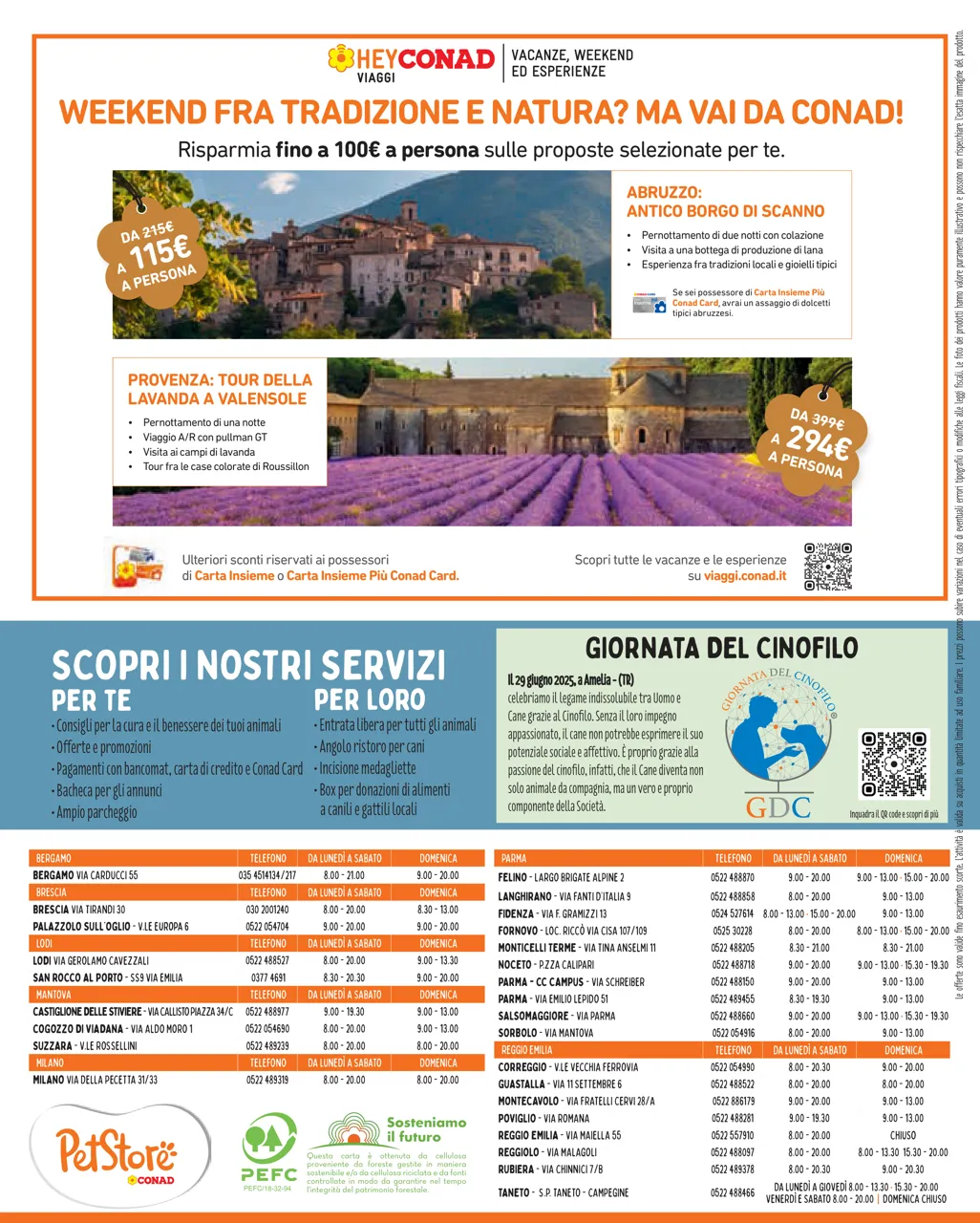 Pagina 8