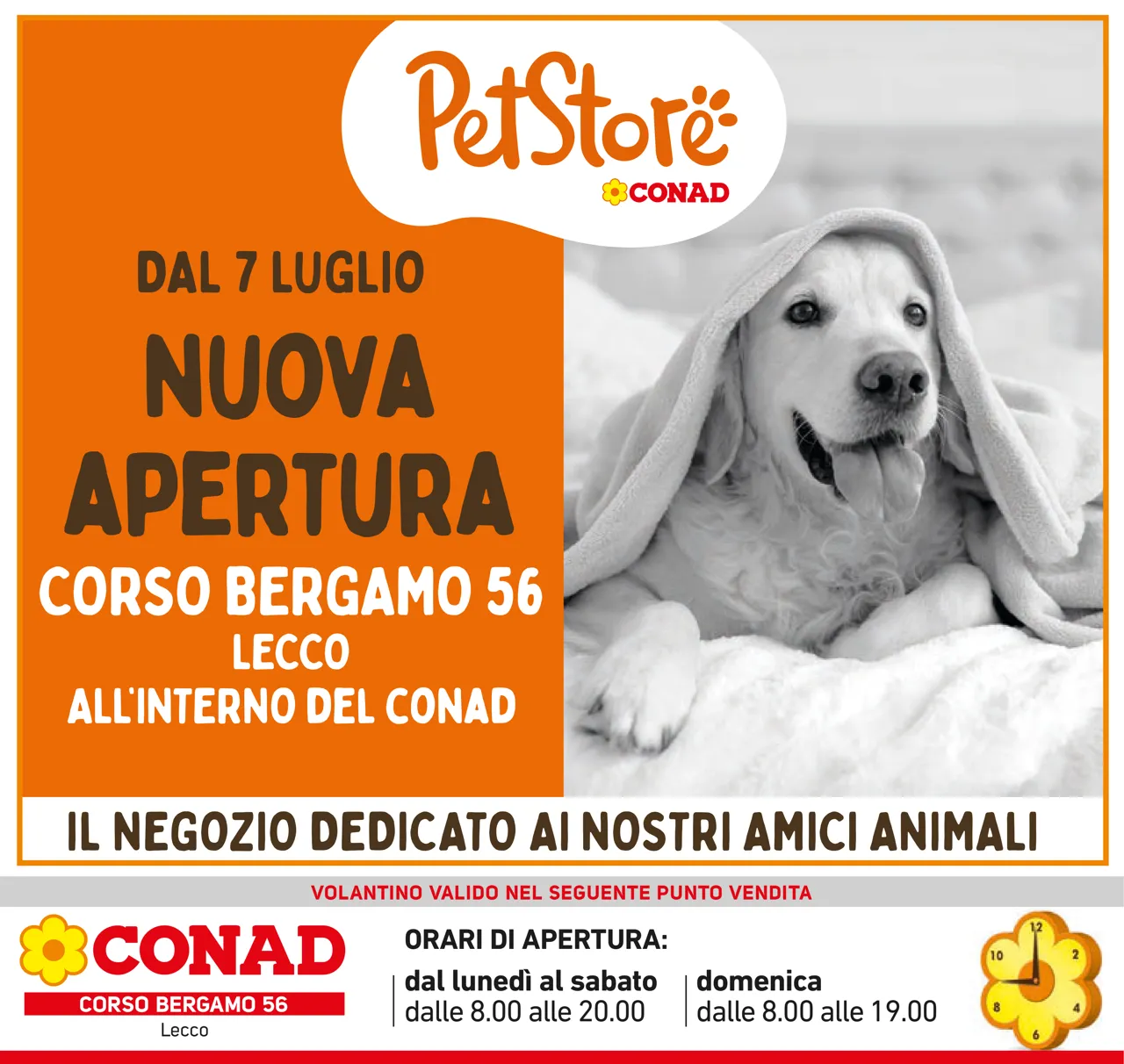 Pagina 38