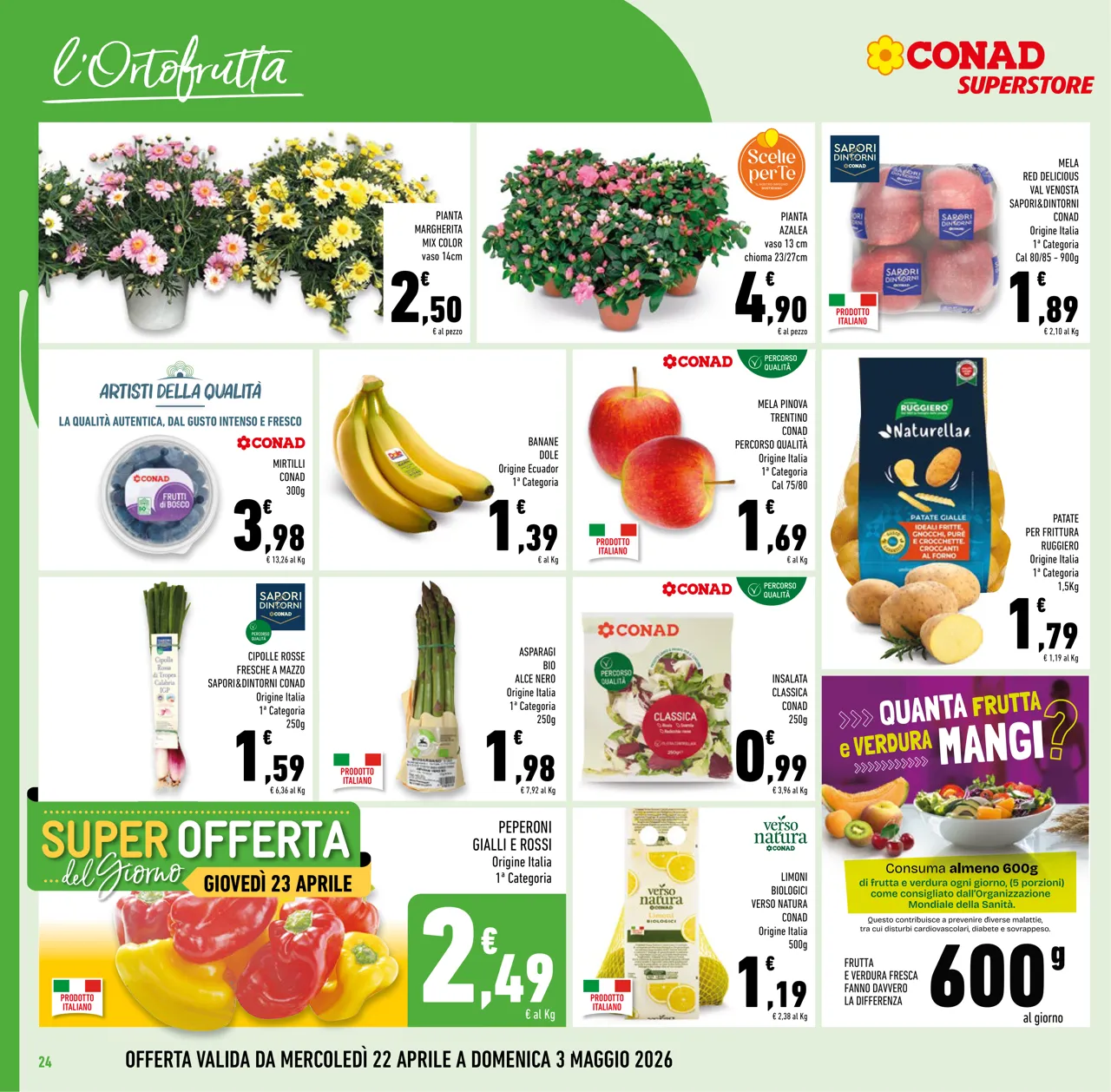 Pagina 24