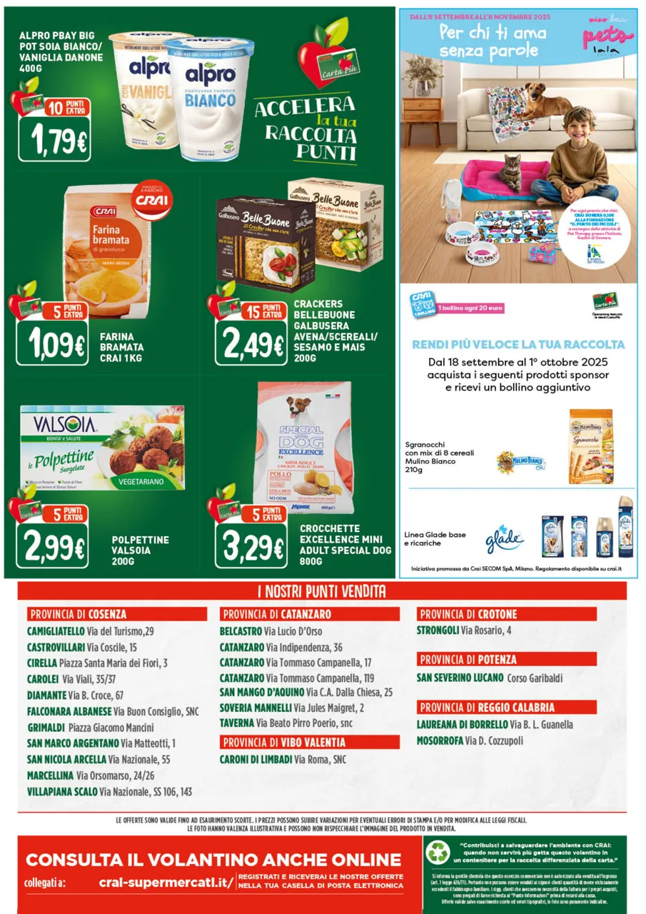 Pagina 12