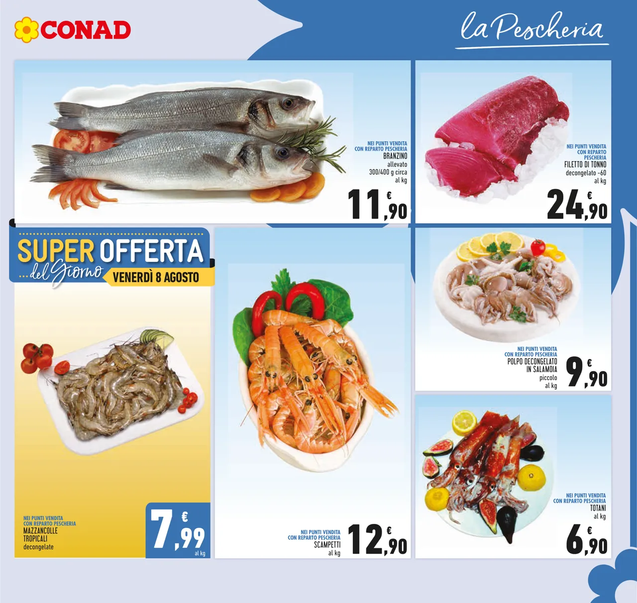 Pagina 7