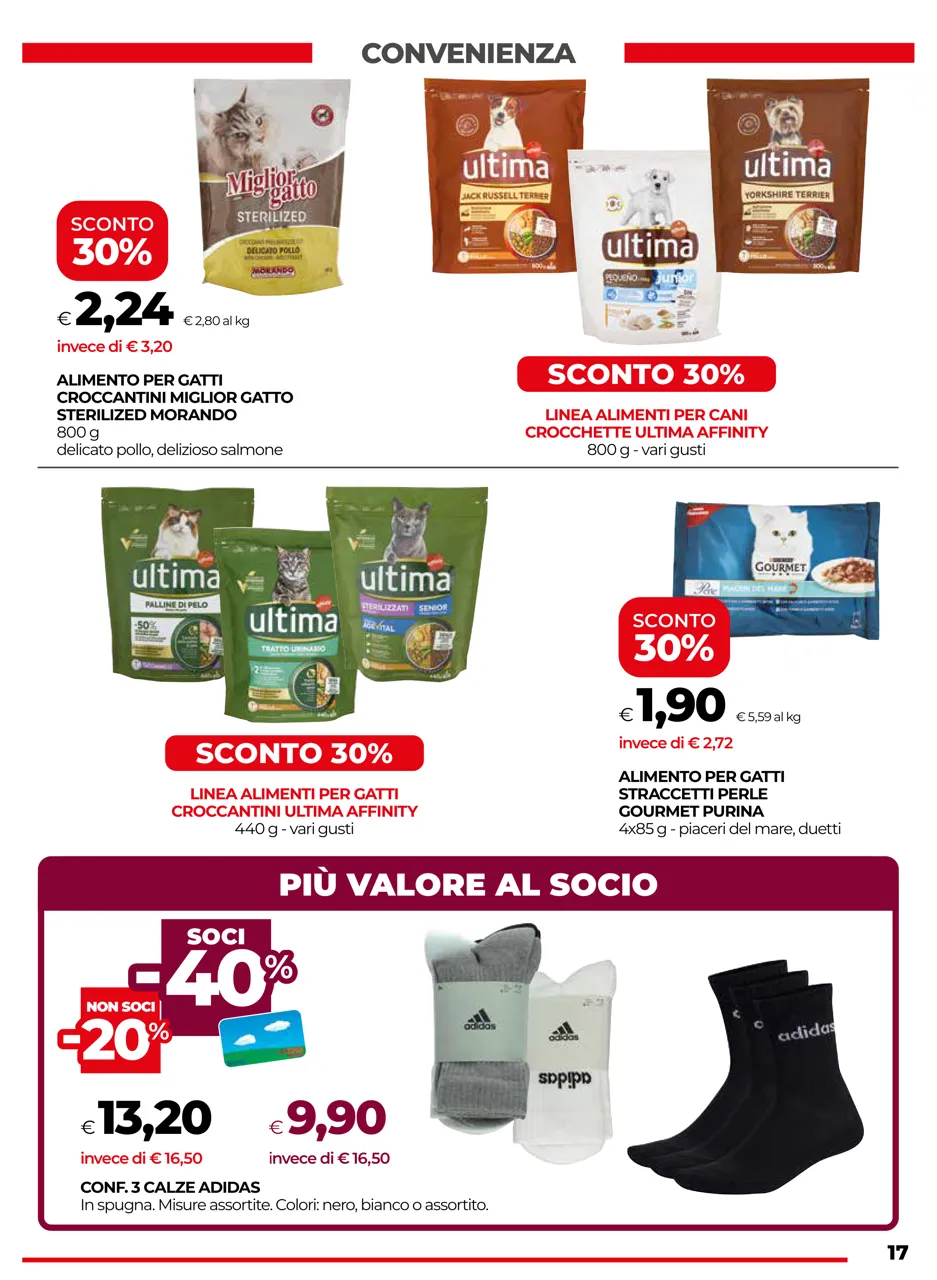 Pagina 17