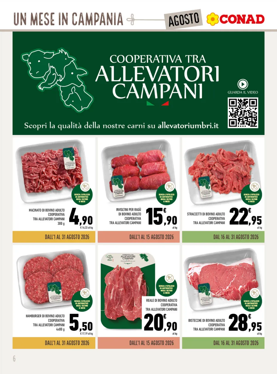 Pagina 6