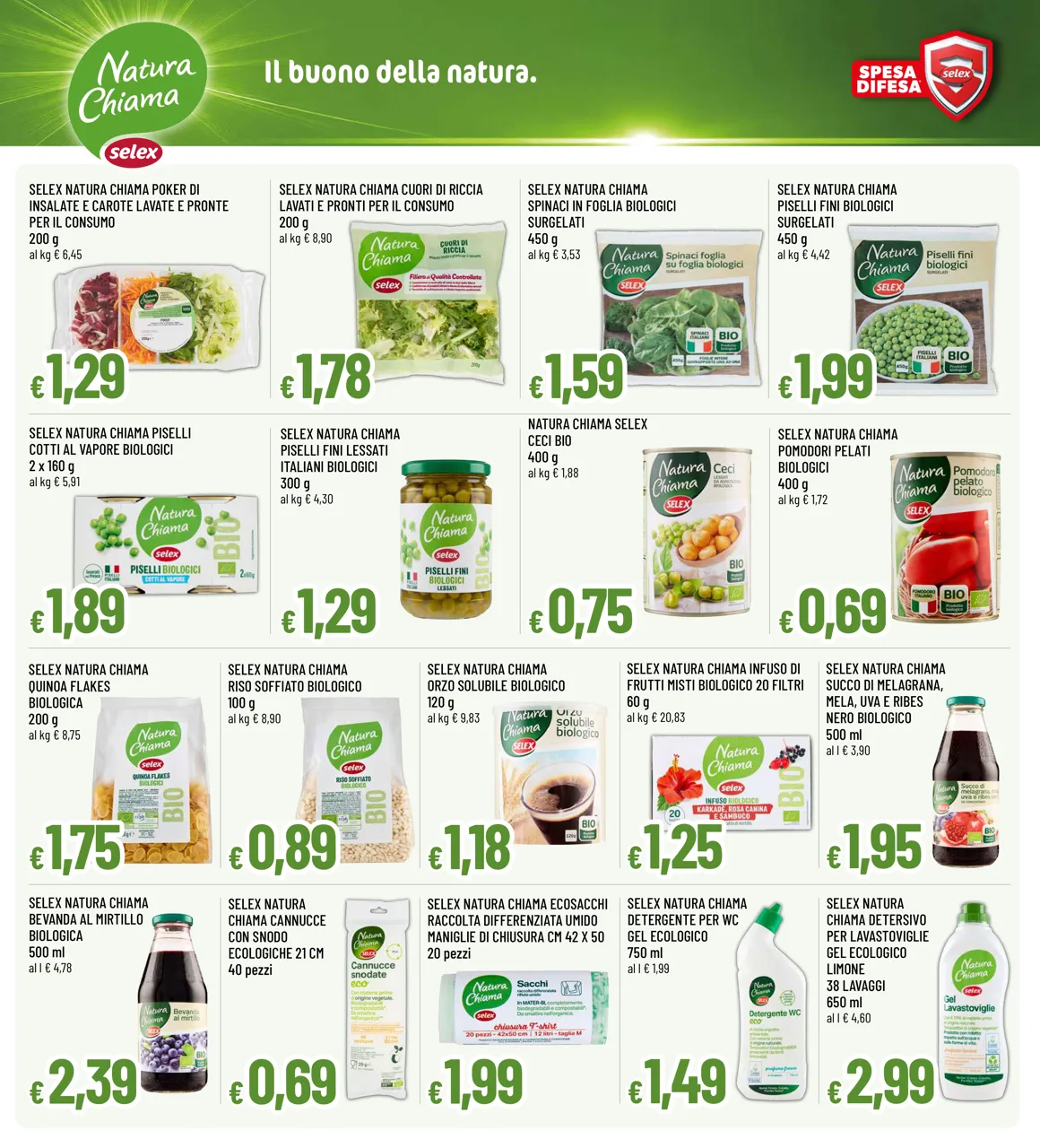 Pagina 2