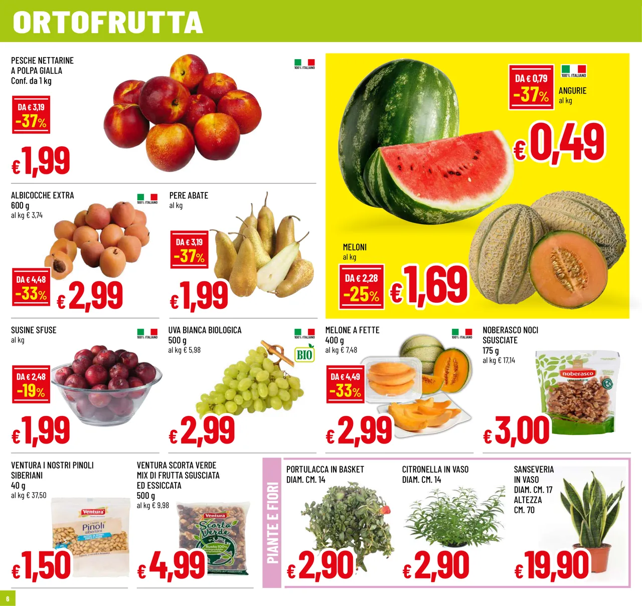 Pagina 6
