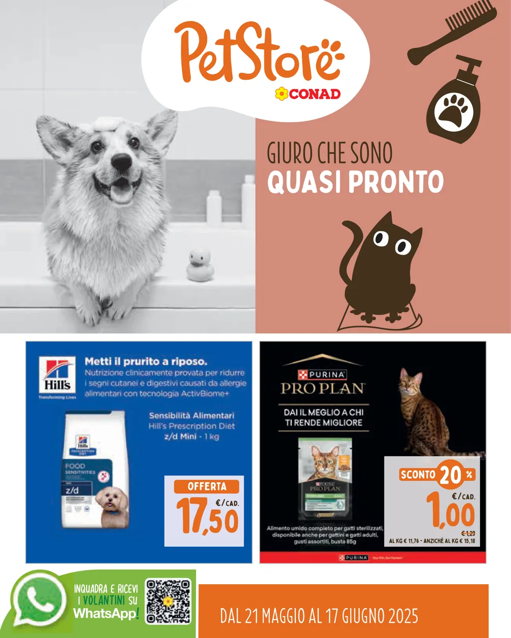 Pagina 1