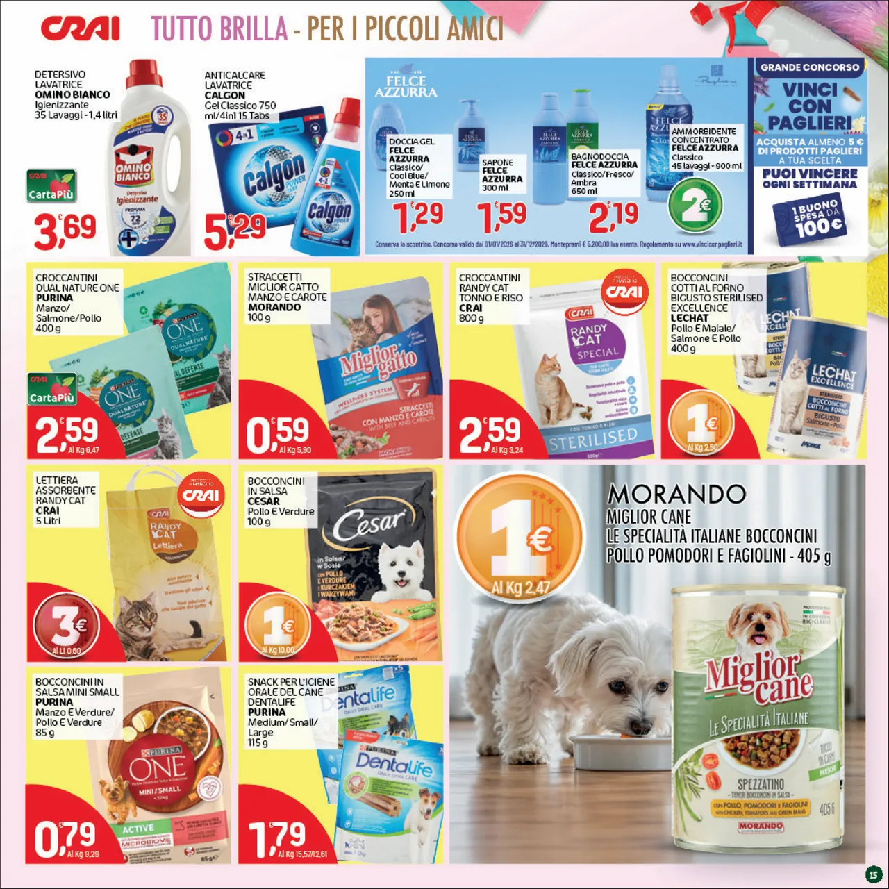 Pagina 15